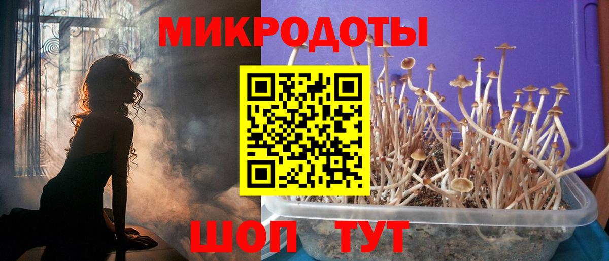 Псилоцибиновые грибы GOLDEN TEACHER Абинск